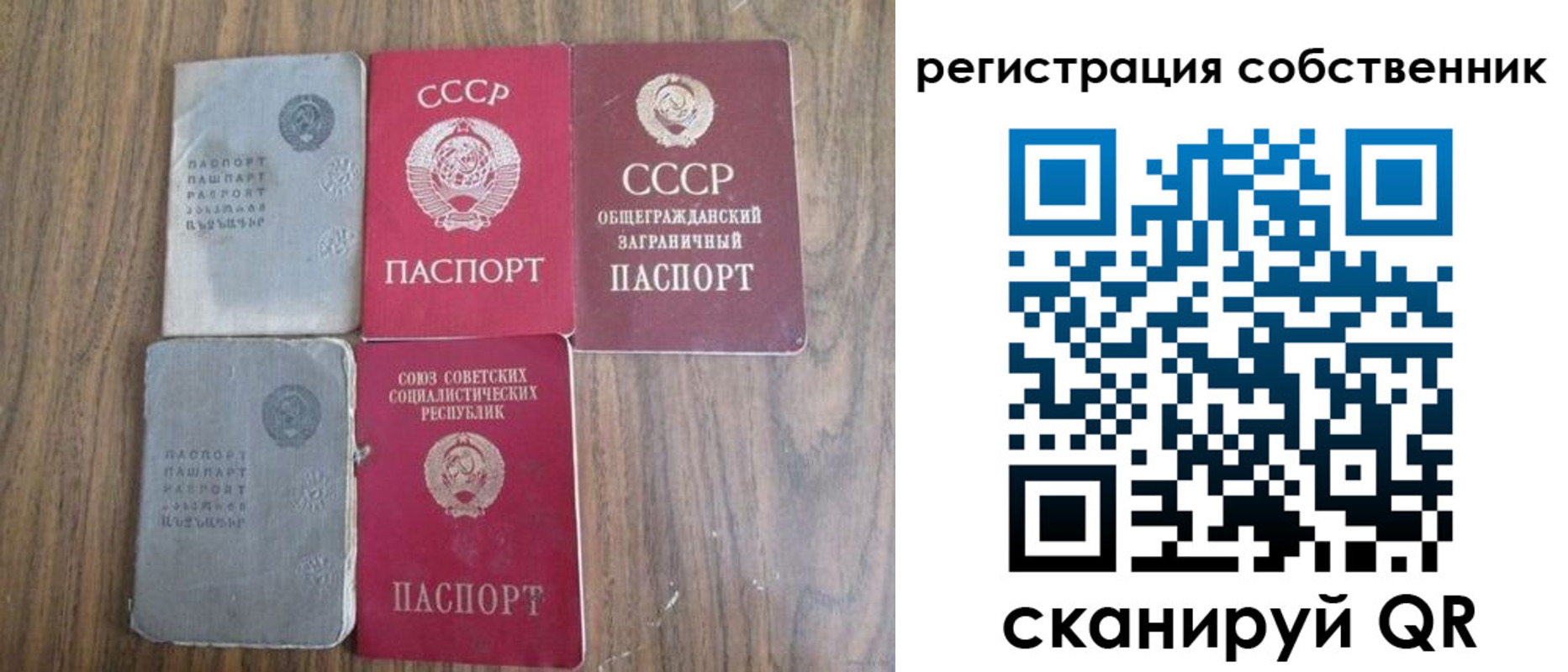 прописка поиск в Тереке